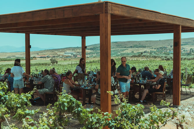 Private wine tasting experience in Crete with Eye Travel